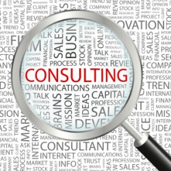 Business Consulting 250x250